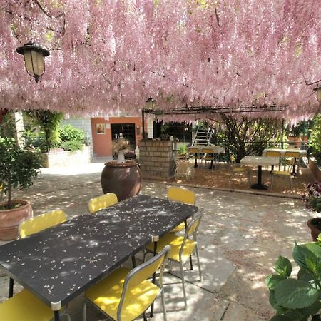 Apartment Orietta 사부드리자 외부 사진