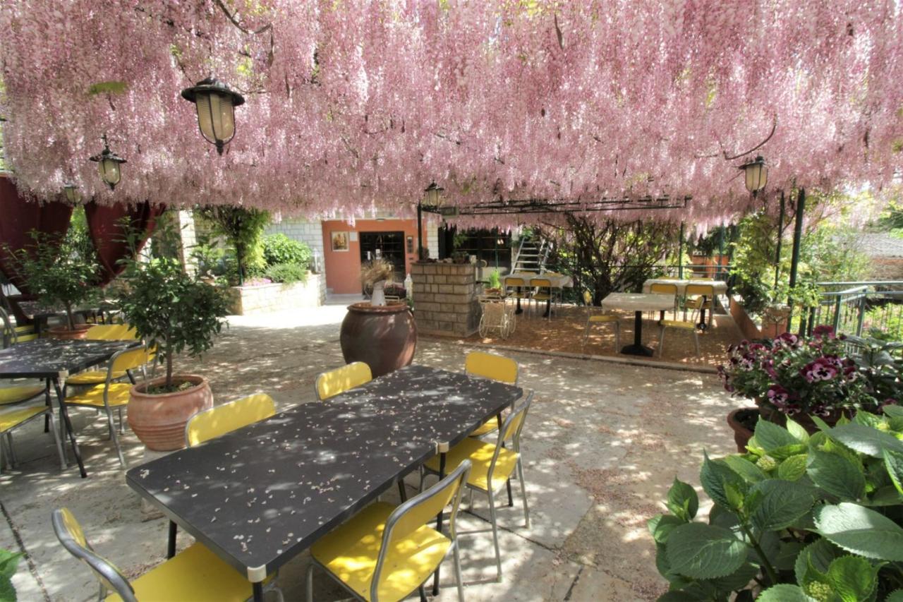 Apartment Orietta 사부드리자 외부 사진